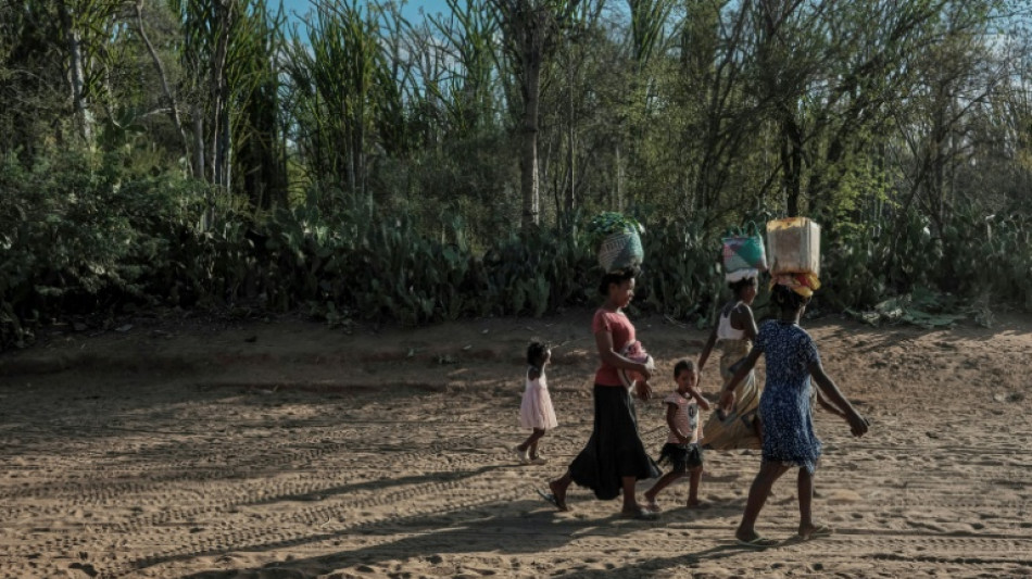  Dans le Grand Sud malgache d&eacute;j&agrave; affam&eacute;, El Ni&ntilde;o fait craindre une disette de l'ampleur de 2021 