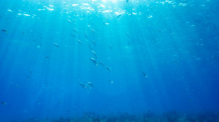 World's oceans break June heat record: EU monitor