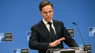 Nato k&uuml;ndigt "zus&auml;tzliche Ma&szlig;nahmen" zur Drohnenabwehr an