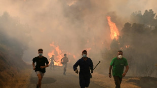 La canicule et les incendies ne laissent aucun répit à l'Europe du Sud