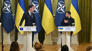 El jefe de la OTAN pide "garant&iacute;as de seguridad s&oacute;lidas" para Ucrania durante su visita a Kiev