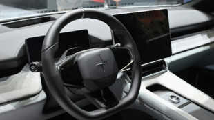 Un organismo proyecta un año récord para los automóviles eléctricos en 2024 en el mundo