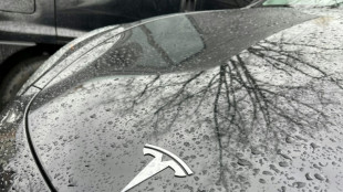 Tesla verbucht Gewinneinbu&szlig;en im ersten Quartal