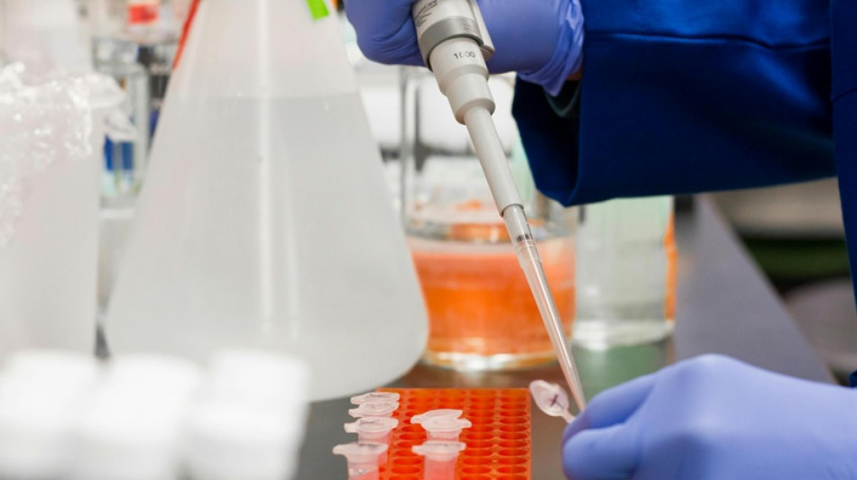  Un nuovo farmaco mutaforma sferra un doppio colpo ai tumori 