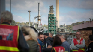 La mobilisation &agrave; TotalEnergies se fissure, encore une station service sur cinq en difficult&eacute;