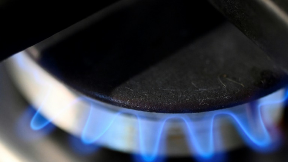 Warnungen aus Gewerkschaften und Wirtschaft vor Gas-Embargo&nbsp;