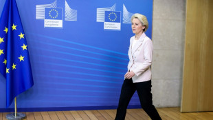 La Uni&oacute;n Europea propone un embargo progresivo al petr&oacute;leo ruso