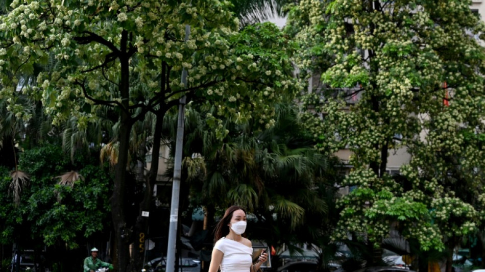  Hano&iuml; taille ses arbres embl&eacute;matiques, "assailli" par leur parfum 