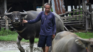 Thais and Cambodians refuse to quit homes on clash frontier