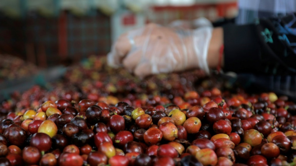 La econom&iacute;a de Colombia creci&oacute; 1,7% en 2024, con el caf&eacute; como protagonista