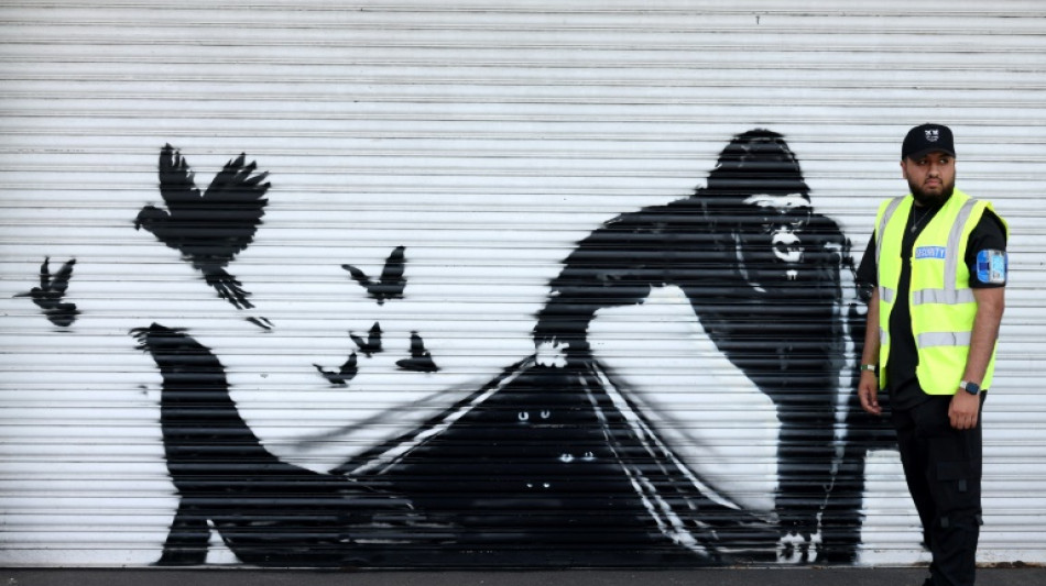 Banksy libera animales del zool&oacute;gico de Londres como final de una intrigante serie de obras