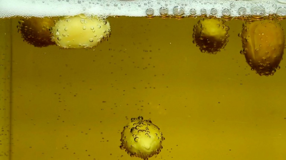 Cient&iacute;ficos descubren por qu&eacute; los cacahuetes "bailan" en la cerveza