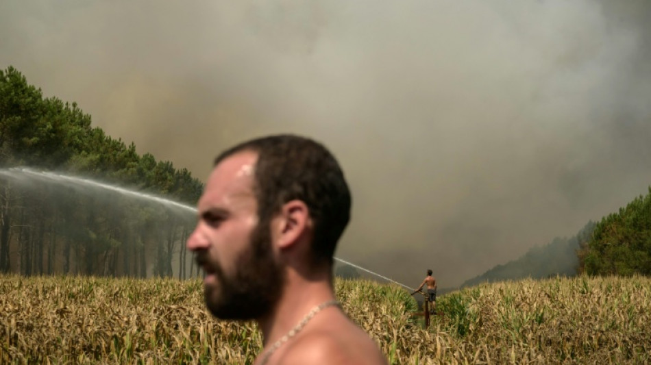  'I started crying': Battle to tame fresh blaze near French seaside 