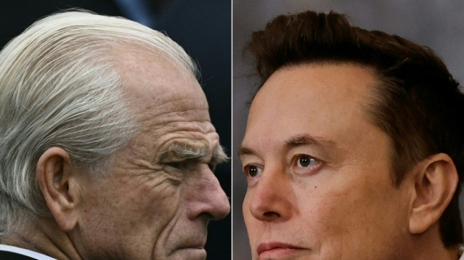 Musk chama publicamente principal assessor comercial de Trump de 'imbecil'