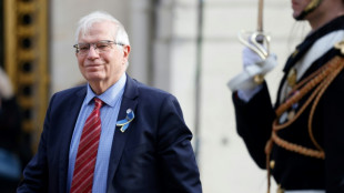 EU-Au&szlig;enbeauftragter schl&auml;gt 500 Millionen Euro zus&auml;tzlich an Milit&auml;rhilfe f&uuml;r Ukraine vor