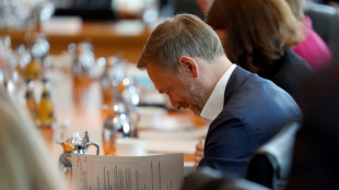 Berlin va adopter pour 10 milliards d'euros de mesures fiscales pour att&eacute;nuer l'envol&eacute;e des prix