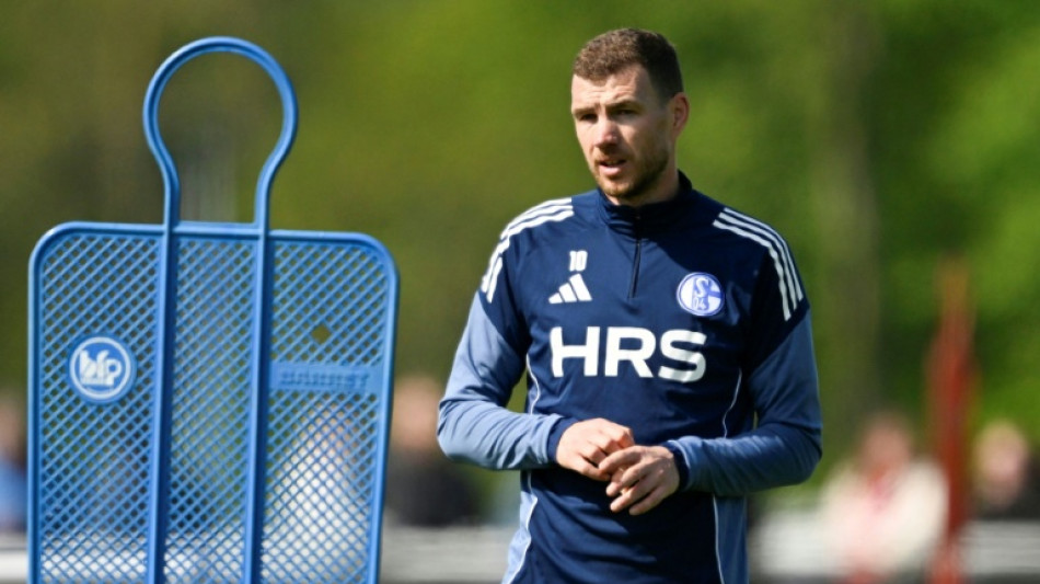  Edin Dzeko renueva un a&ntilde;o con el Schalke 04 
