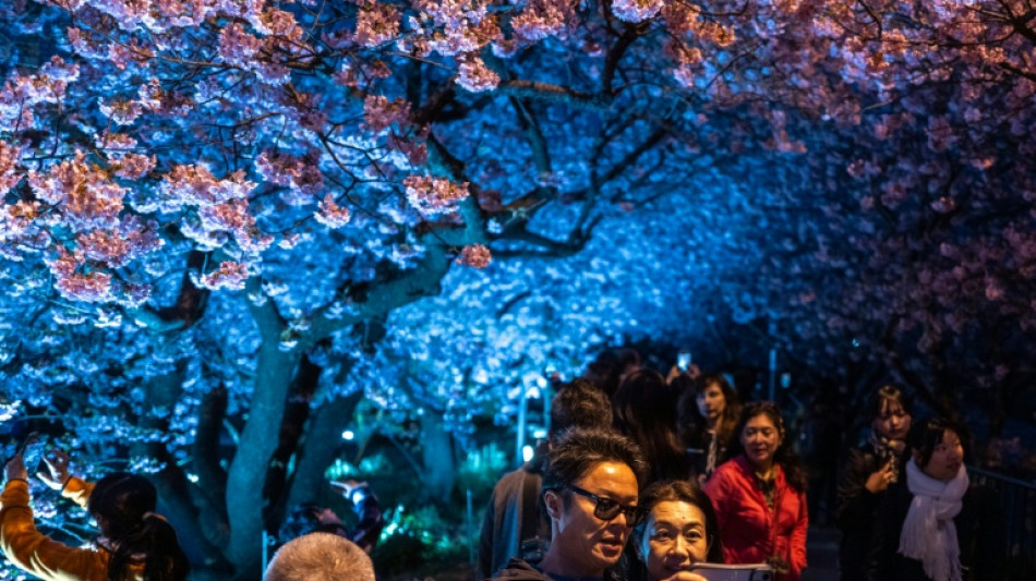  Las nacimientos en Jap&oacute;n caen por d&eacute;cimo a&ntilde;o consecutivo 