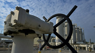 Espa&ntilde;a y Portugal apoyan la idea de un gasoducto que los conecte con Europa central