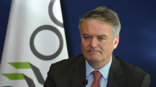 La OCDE defiende subir los impuestos a los grupos energ&eacute;ticos
