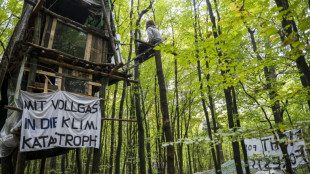 Polizei setzt Einsatz in Fechenheimer Wald in Frankfurt am Main fort
