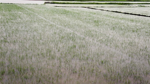 Tempesta Wutip devasta centro del Vietnam, oltre 2.000 evacuati