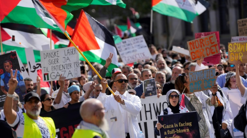 Miles de personas participan de una manifestaci&oacute;n propalestina en Copenhague