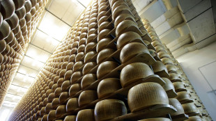 'Senza intesa con Usa su dazi, Ue lavora a piano ritorsione'