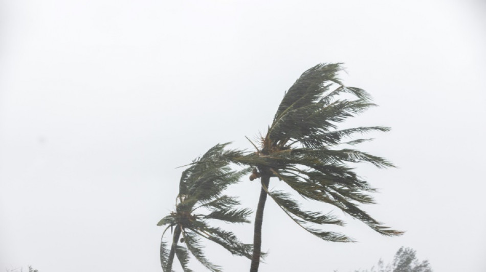 Los casos de c&oacute;lera se decuplicaron en Mozambique desde el paso del cicl&oacute;n Freddy