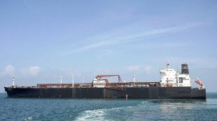 Approvisionnement maritime: l'Asie "souffrira le plus" de la guerre au Moyen-Orient (Kpler &agrave; l'AFP)