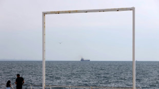 El primer barco con cereales ucranianos es esperado en Estambul "despu&eacute;s de la medianoche"
