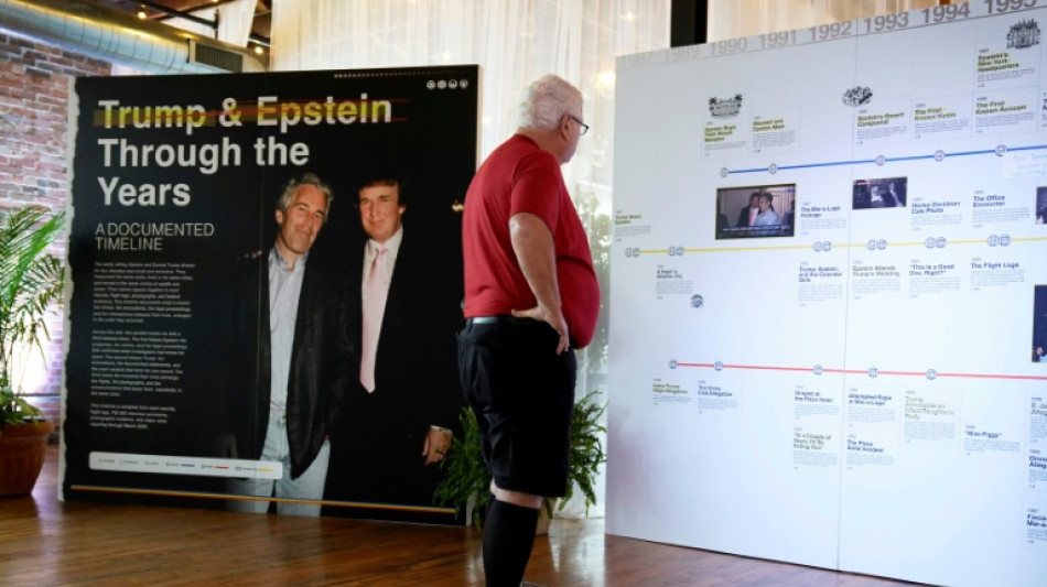  US-Demokraten fordern Sonderermittler zu Trumps Verbindungen zu Epstein 