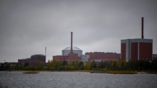 La Finlande met en service son nouveau r&eacute;acteur nucl&eacute;aire, l'Allemagne &eacute;teint ses derniers
