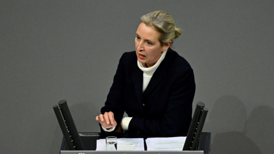 La extrema derecha y la derecha alemanas adoptan juntas un texto antiinmigraci&oacute;n