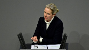 La extrema derecha y la derecha alemanas adoptan juntas un texto antiinmigraci&oacute;n