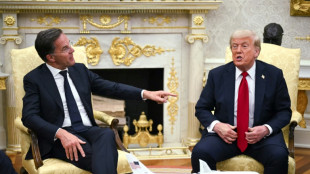 Rutte und Trump k&uuml;ndigen "massive" Waffenlieferungen f&uuml;r die Ukraine an