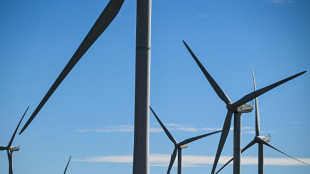 Programmation énergétique: un moratoire sur l'éolien et le solaire fait dérailler l'examen à l'Assemblée