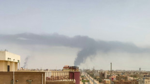 Al menos 74 muertos en combates en la regi&oacute;n sudanesa de Darfur del Oeste, seg&uacute;n los m&eacute;dicos