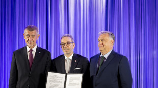 Nei Patrioti 84 eletti, &egrave; terzo gruppo all'Eurocamera