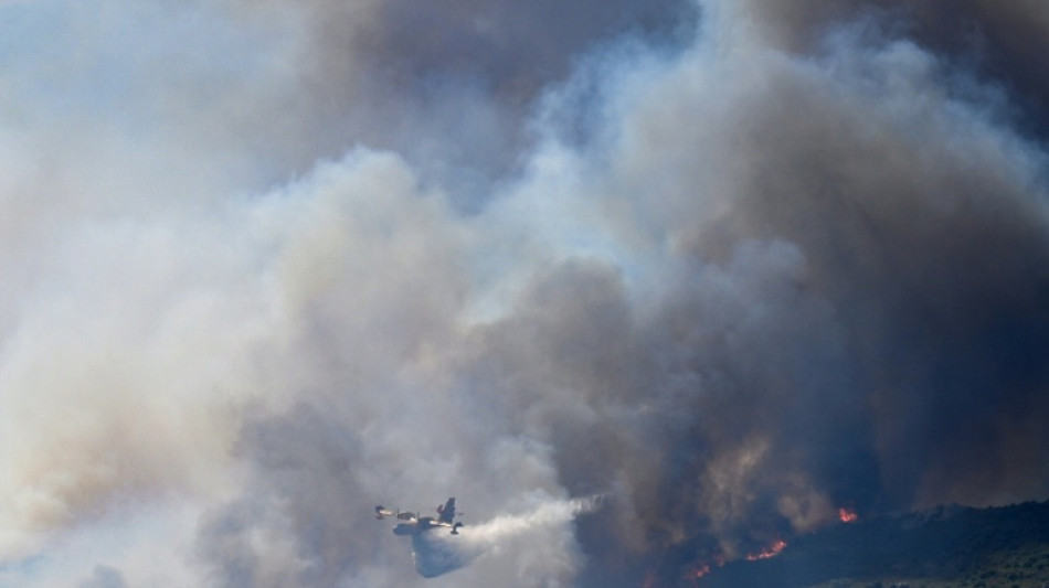  Los incendios queman bosques en Europa atizados por el calor extremo 