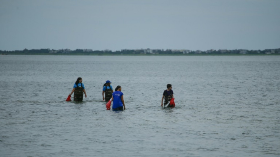 Una tribu nativa lucha en Nueva York para salvar sus tierras del cambio clim&aacute;tico