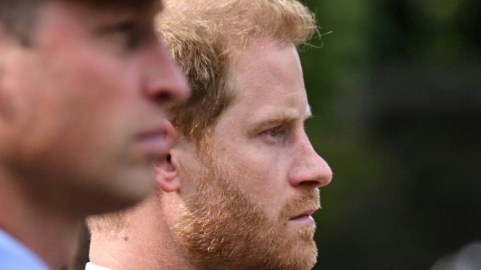 L'interview t&eacute;l&eacute; du prince Harry diffus&eacute;e en France par TF1
