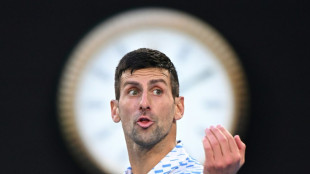 Tennis: Novak Djokovic, l'homme des troph&eacute;es et des pol&eacute;miques