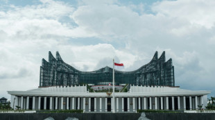 Indonésie: Nusantara, un projet capital qui tarde à se concrétiser