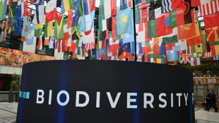 El mundo reanuda en Roma el amargo debate sobre la financiaci&oacute;n de la preservaci&oacute;n de la naturaleza