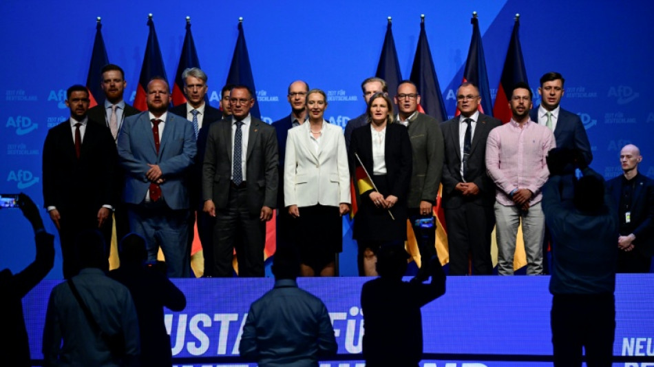  AfD erhebt Machtanspruch und st&auml;rkt Doppelspitze - begleitet von Protesten 