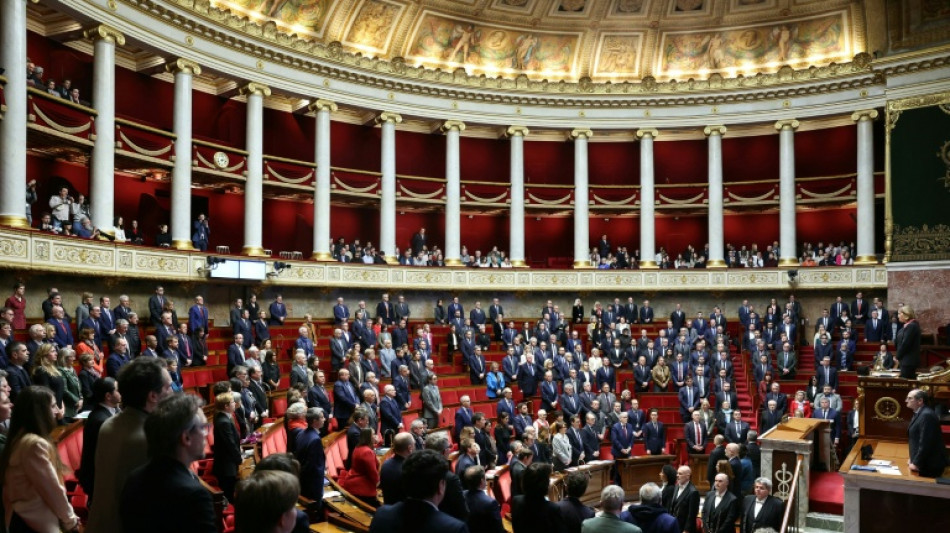  France arrests nine over far-right activist's killing 