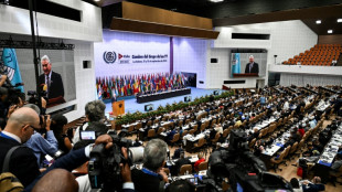 Le G77+Chine appelle &agrave; "changer les r&egrave;gles du jeu" &eacute;conomique mondial