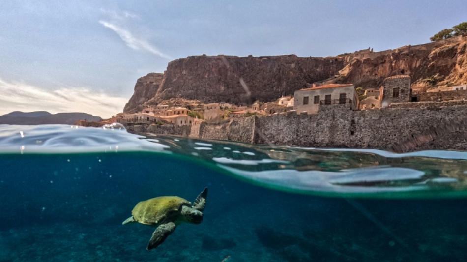  World leaders urged to 'course correct' as UN nature goals fall short 