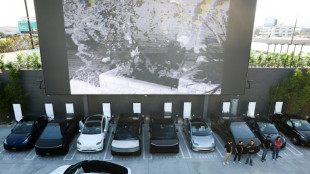 Tesla profits drop as Musk warns of 'rough' patch before riches